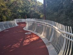 -金鸡山公园