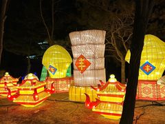 -南宫五洲植物乐园