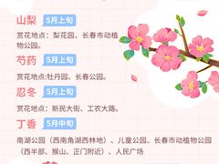 -长春市南湖公园