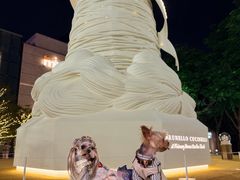 -深圳湾万象城(南山店)