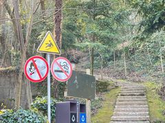 -上海佘山国家森林公园天马山园