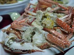 梭子蟹-Golden Prawn 933