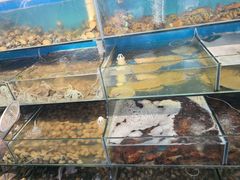 -仙螺岛海鲜自助餐厅(总店)