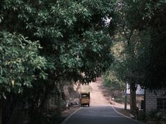 -青龙山国家森林公园