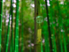-苏州环秀晓筑养生度假村