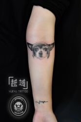 -越域刺青