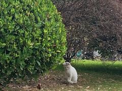 -上海市杨浦区牙病防治所