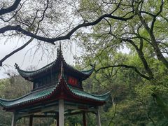 -岳麓山风景名胜区