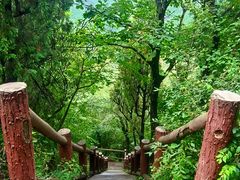 -照金红色旅游名镇