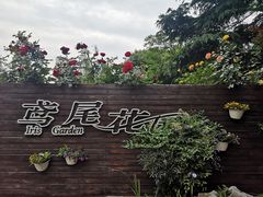 -圩墩遗址公园