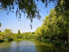 -昆山城市生态森林公园