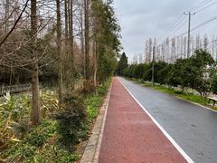 -上海长兴岛郊野公园