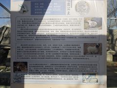 -青藏高原野生动物园