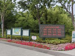 -新江湾城公园