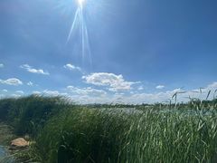 -呈贡滇池生态湿地公园