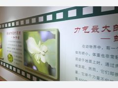 -上海昆虫博物馆