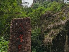 -华祥苑茶馆•国缤茶小蓝罐(普罗旺斯店)