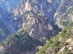 -泰山花样年华景区