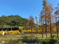 -广州市石门国家森林公园