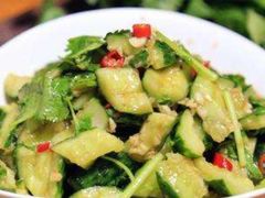 醋拌黄瓜苗-九府羊鲜羊火锅·烧烤(任丘东风美食街店)