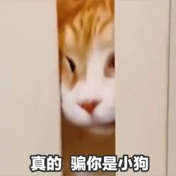 点击看大图 -上海首尔丽格医疗美容医院