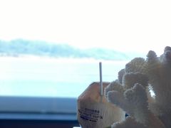 -三亚太阳湾柏悦酒店