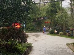 -合肥滨湖国家森林公园