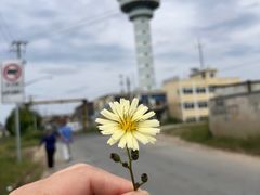 -芦潮港集贸市场