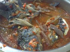 风鑫铃罗非鱼-风鑫铃罗非鱼(道沟店)