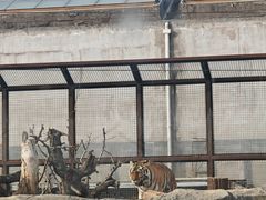 -祥源·阜阳生态乐园