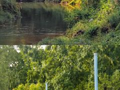 -白鹭湾湿地公园