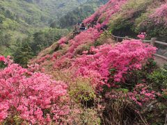 -木兰云雾山
