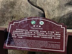 -缙云山景区