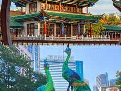 -昆明动物园