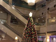 -上海齐鲁万怡大酒店·辣椒屋咖啡厅