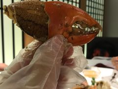 -新加坡海鲜共和(名胜世界圣淘沙海滨坊)