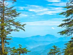 -瓦屋山景区