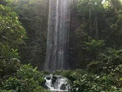 -新加坡飞禽公园