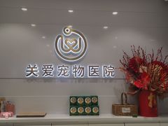 -关爱宠物医院·猫科中心·消化科(滨湖万达分院)