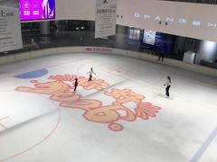 -TheRink大零溜冰场(IFS国金中心店)