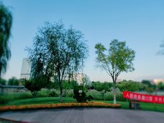 -西海子公园
