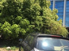 -巴斯漫温泉汗蒸馆(贡湖大道店)