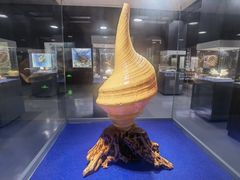 -贝壳王国博物馆
