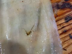 -东财大盘鸡(黑石礁店)