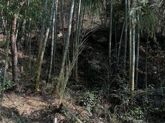 -天柱大峡谷