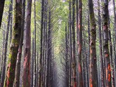 -山王坪喀斯特国家生态公园
