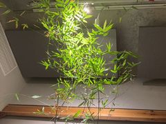-本处·素食·融合料理(南油店)
