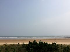 -日照海滨国家森林公园