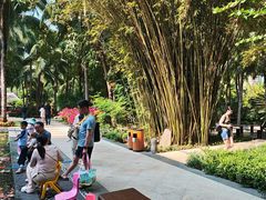 -三亚湾海居铂尔曼度假酒店