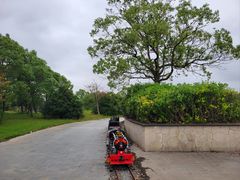 -上海都市菜园